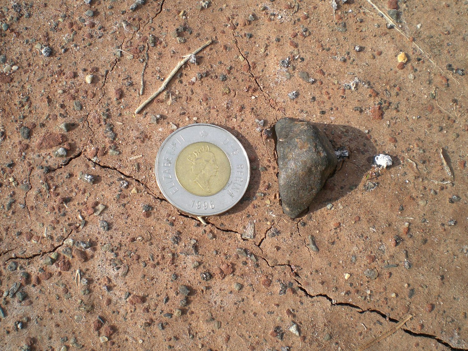 A freshly recovered meteorite beside a coin for scale