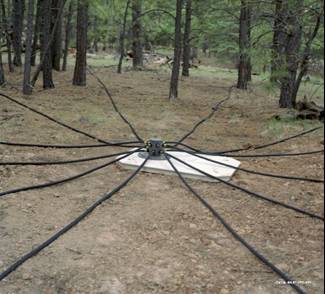 Deployed sensor