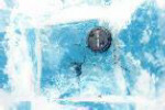 Meteorite fragments just below ice, size shown relative to camera lense cover.