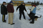 Using searchdogs to find the meteorites in the snow.