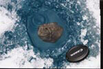 Meteorite fragment in ice next to lense cap.